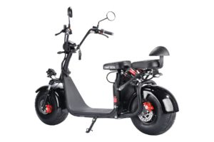 CITYCOCO WS-PRO LIGHT 2000W_2