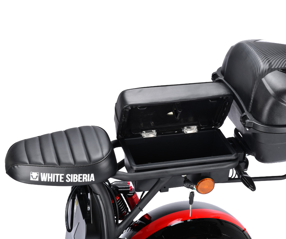 WS-PRO 2WD 4000w_2