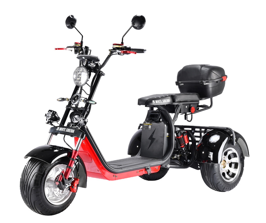 WS PRO TRIKE+ 3000W